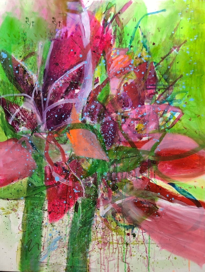 Amaryllis